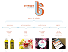 Tablet Screenshot of bermudastudio.com
